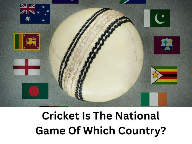 How Many Countries Play Cricket Seaflag Global Shipping Pvt Ltd